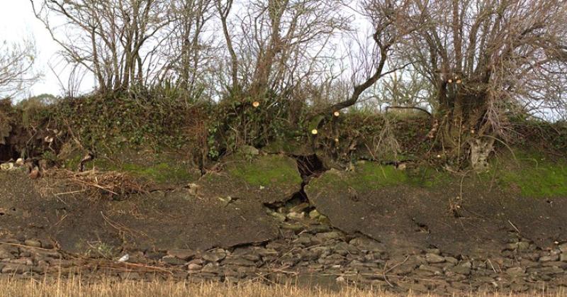 Race to save popular Devon nature reserve as storm damage threatens sea wall breach