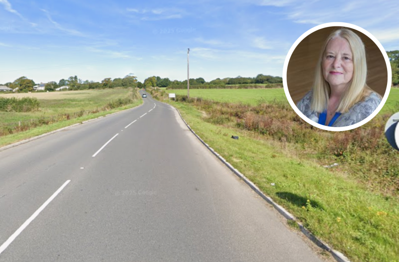 Plympton Erle ward Cllr Terri Beer raised concerns over Sherford&rsquo;s proposed closure of Road Past Vealeholme (Images- Google/Terri Beer)