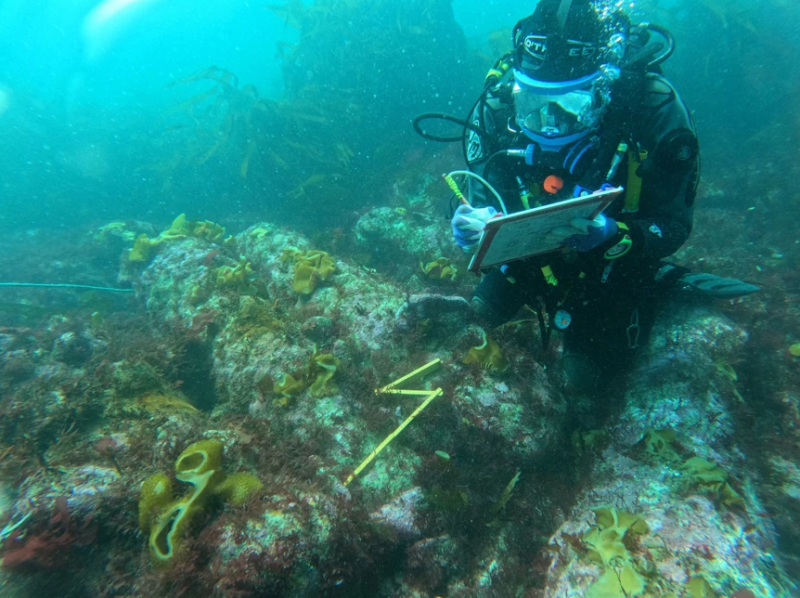 Diver recording cannon on a historic shipwreck &copy; Wessex Archaeology