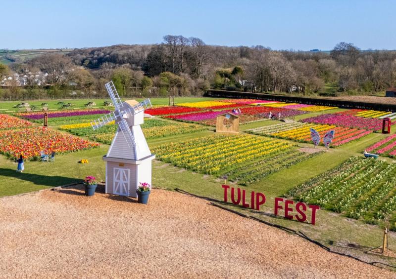 Visitors invited to explore large-scale displays, photo installations and seasonal entertainment (Image- Strawberry Fields)