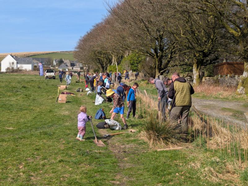 Planting in Princetown