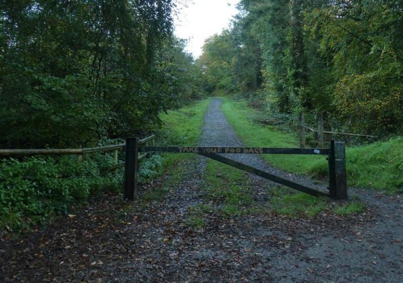'Cowboy' fly-tippers face 'clean-up squads' in Exeter woodland crackdown