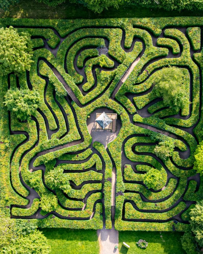 Wildwood Devon at Escot Park 