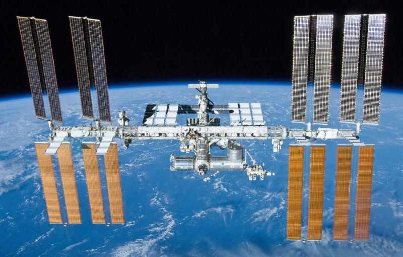 Tiny worms to blast off to space station in Exeter-led experiment