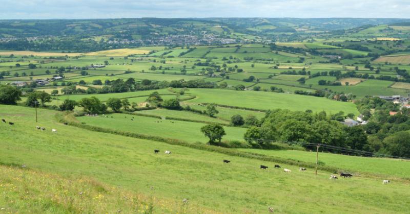 Residents urged to shape future of East Devon's wildlife in six-week consultation