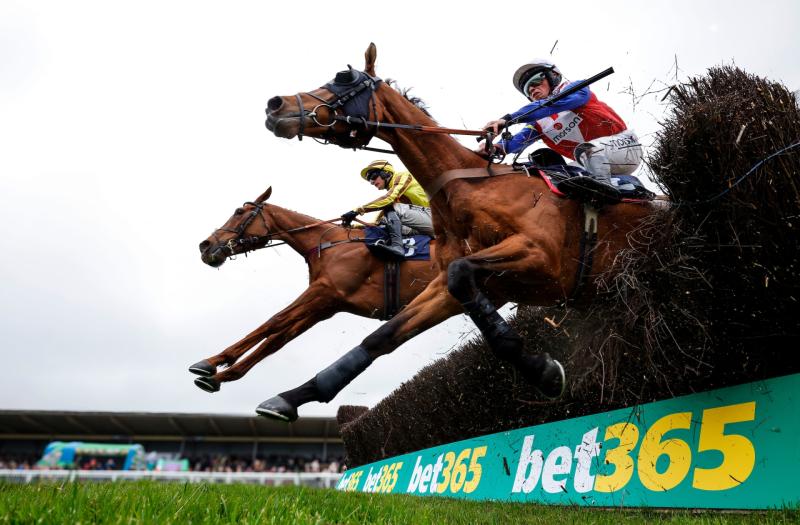 Newton Abbot Racing. Pic from PPAUK