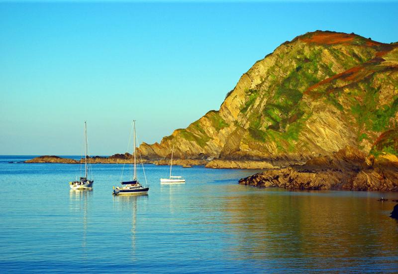 COLUMN: Talking rubbish this week - Dave Griffin