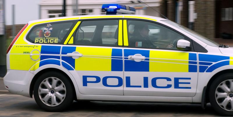 A Devon & Cornwall Police car - Credit: Submitted