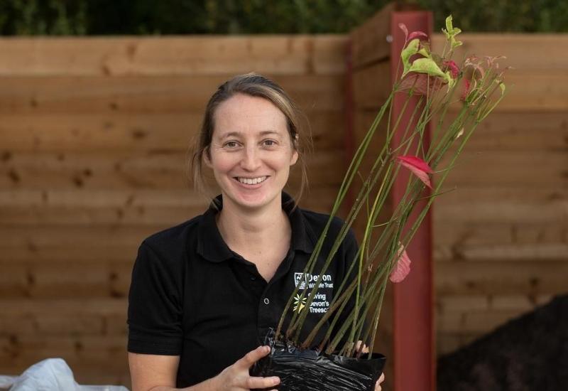 Charity offers free trees to good homes