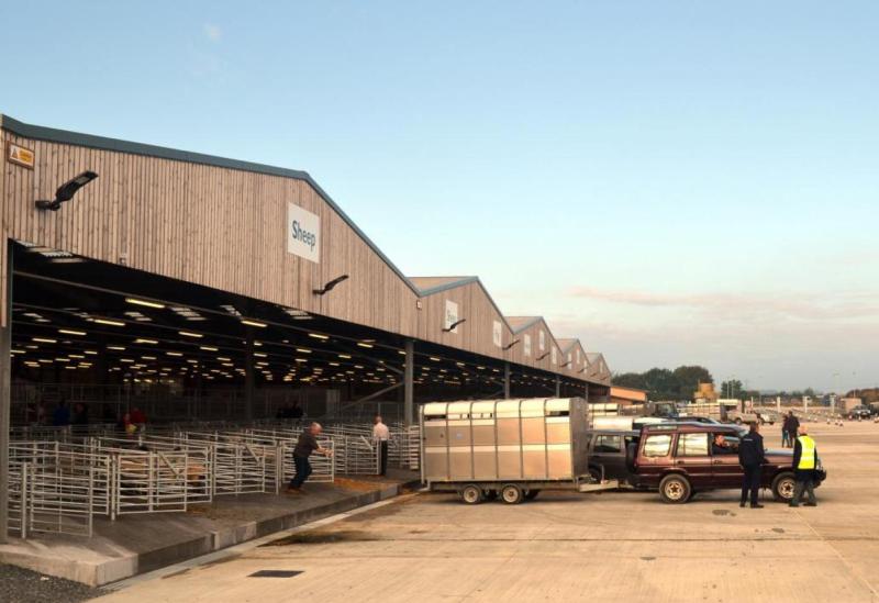 Farm safety session to be held at Holsworthy Livestock Market