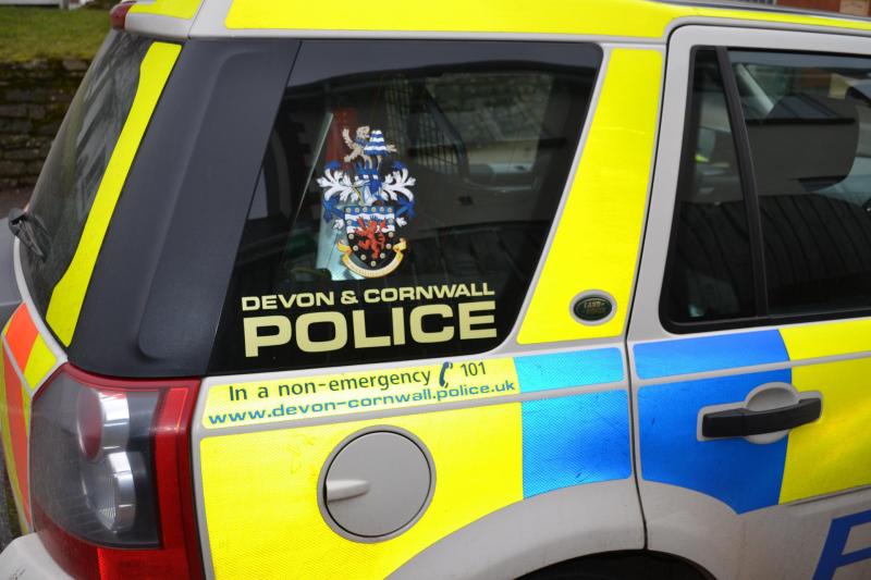 A file image of a Devon & Cornwall Police car - Credit: DC Police