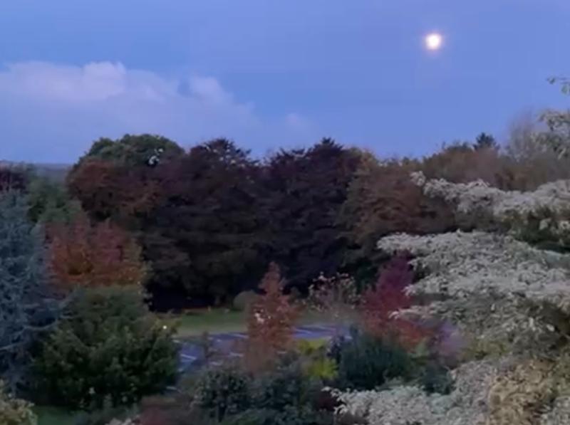 ndg COLUMN ND Hospice WK46 moon at dawn