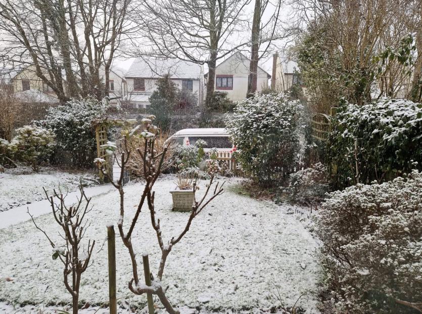 Campervan trying to hide in the snow (Image- Carol Gander)