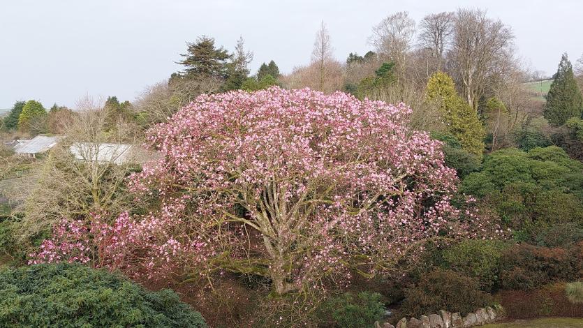 (All images credit: Lukesland Gardens/Lorna Howell)