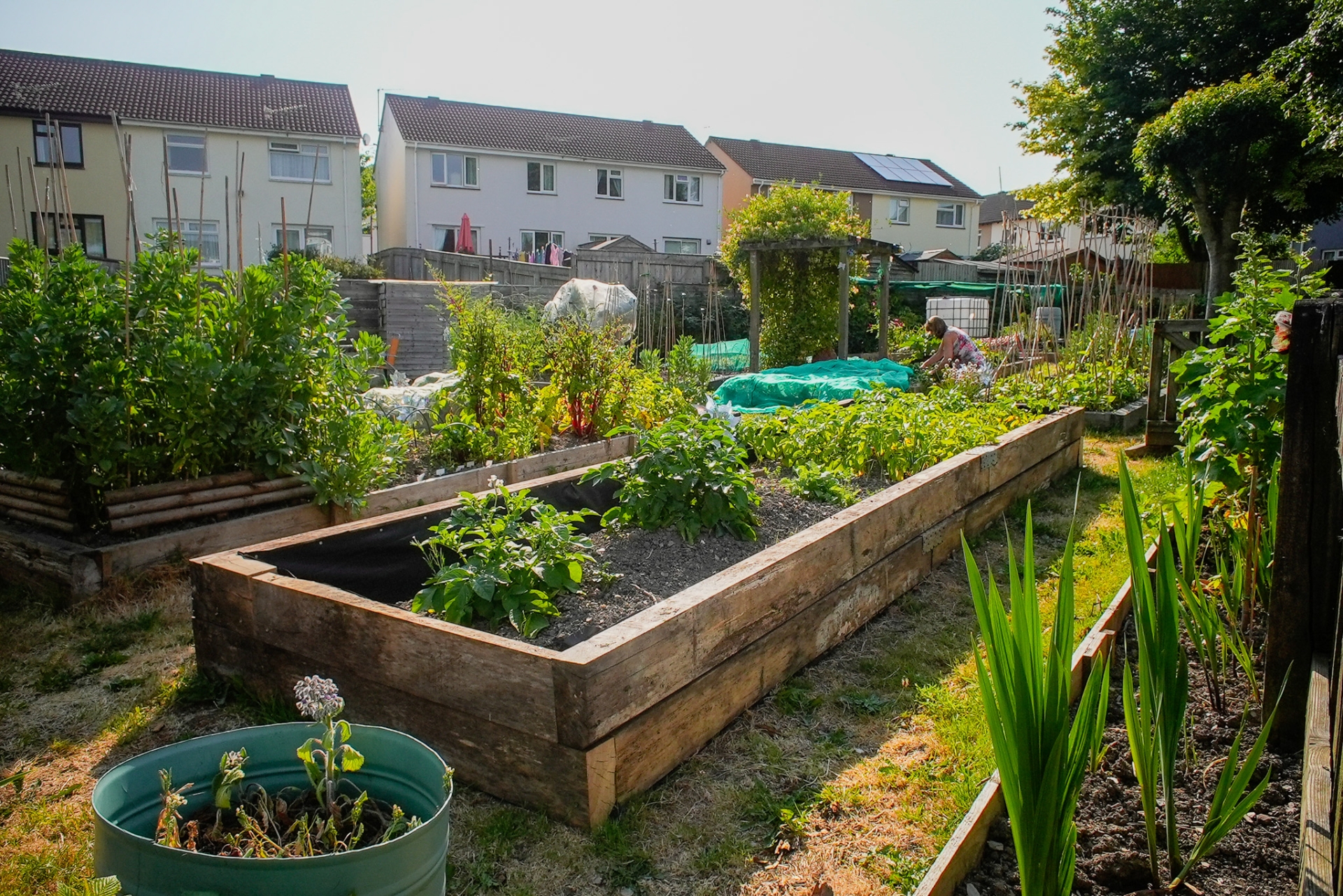 Heppenstall Community Garden - Credit: Seth Conway Media