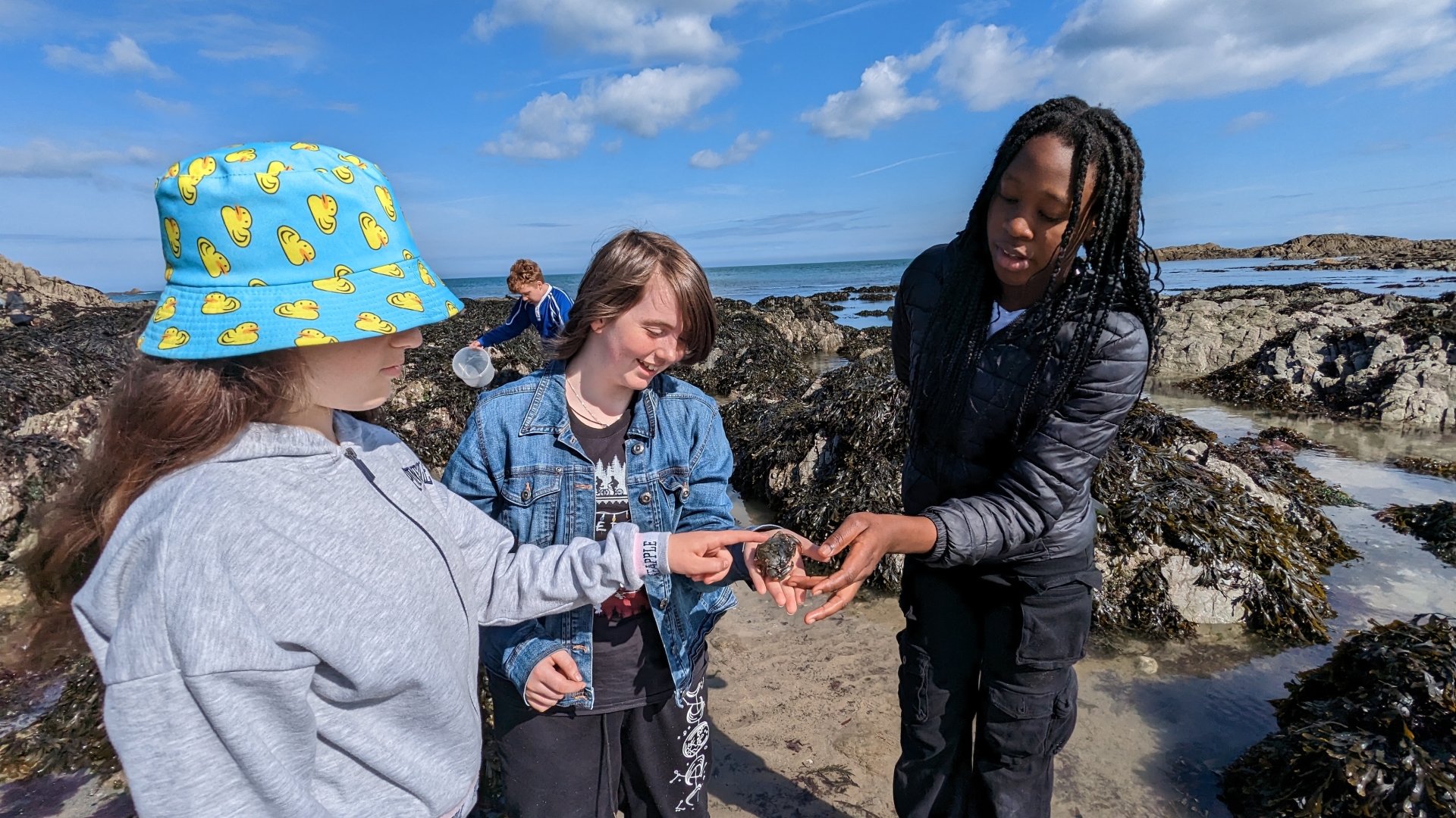 Meeting the rockpool locals - Credit: PFND