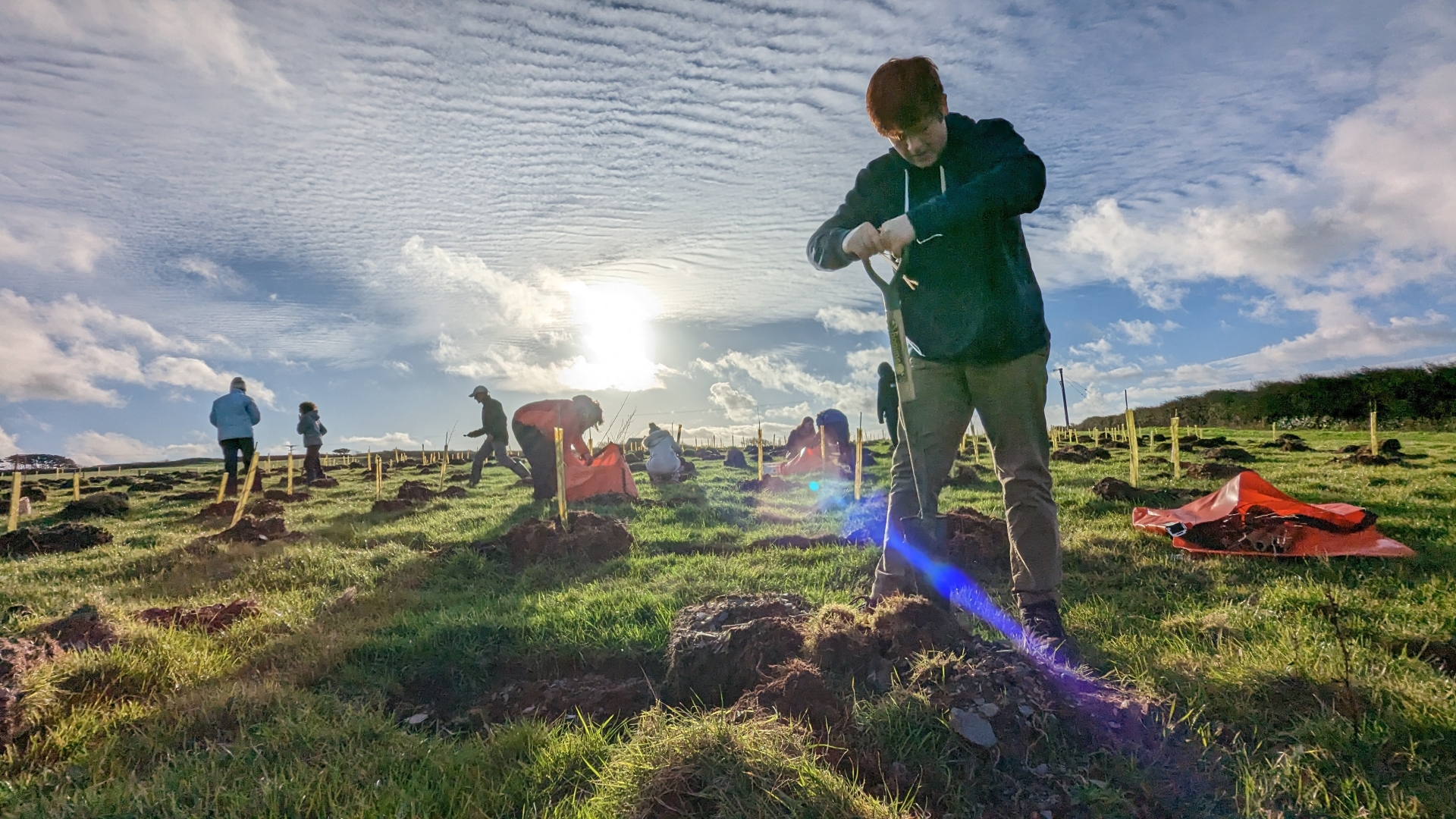 Tree planting with the National Trust - Credit: PFND