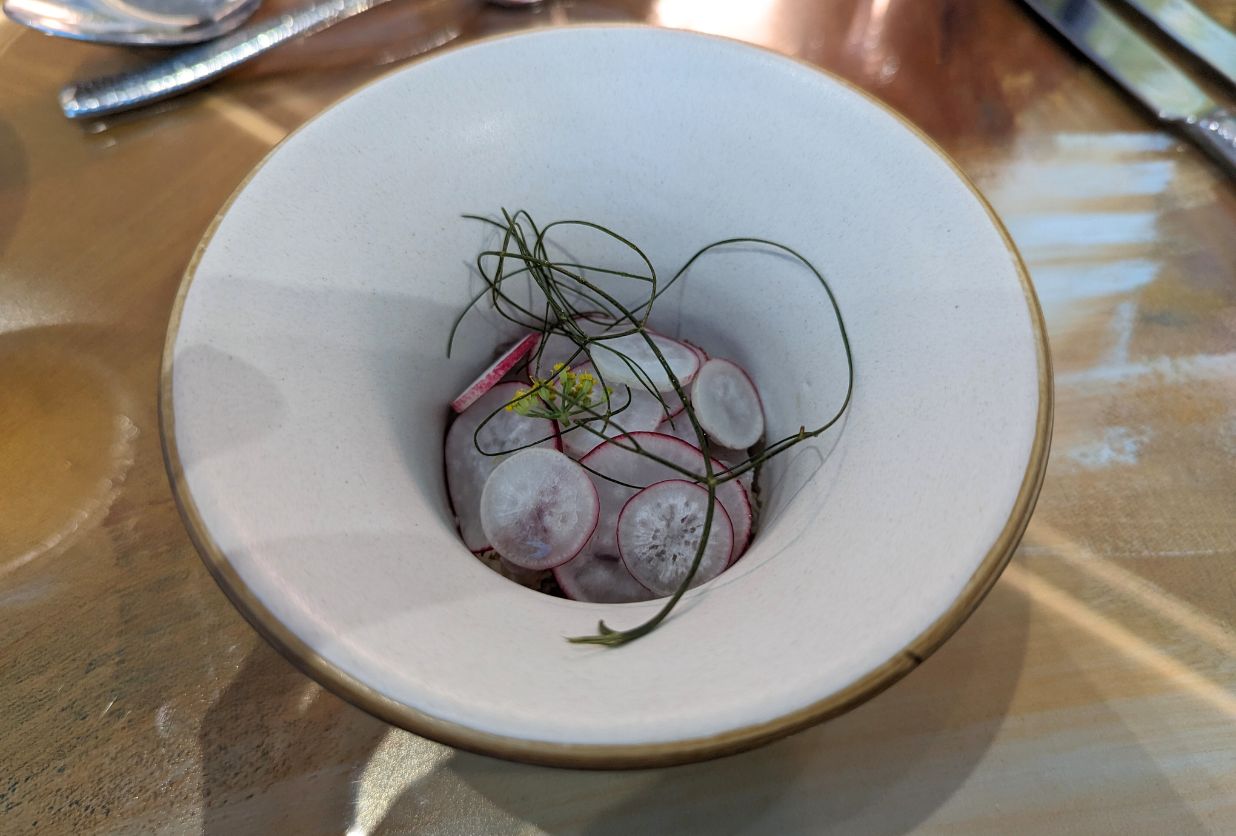 The Ceviche Bass