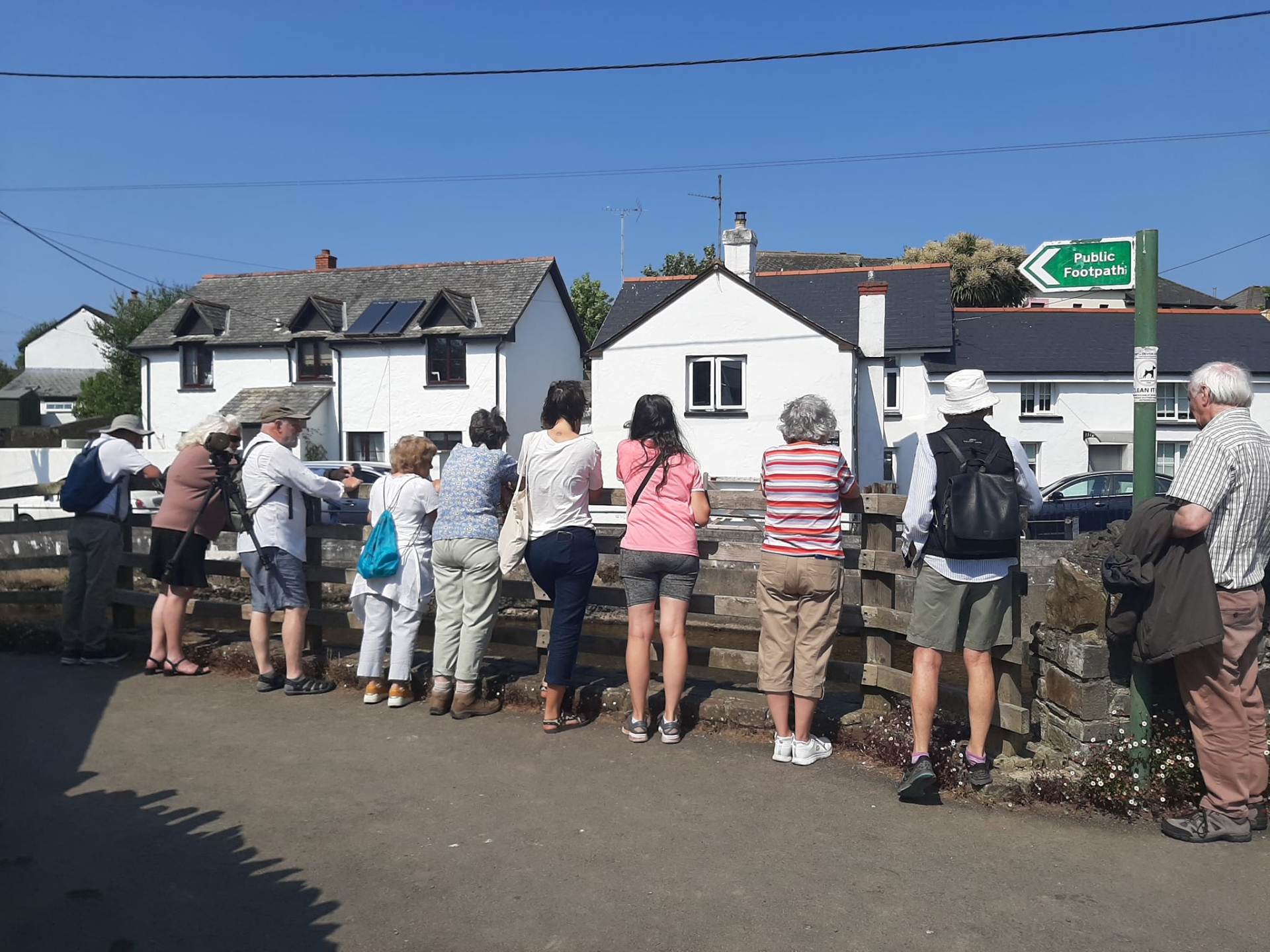A Wellbeing Walk hosted by Live Well in Braunton