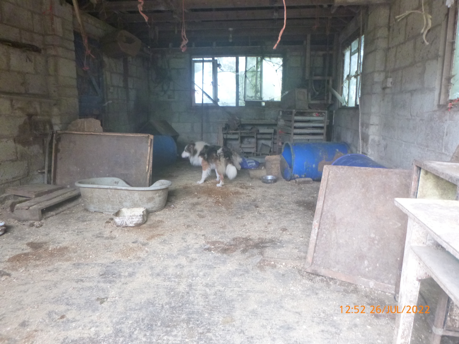 The animals were living in very poor conditions. Credit: RSPCA