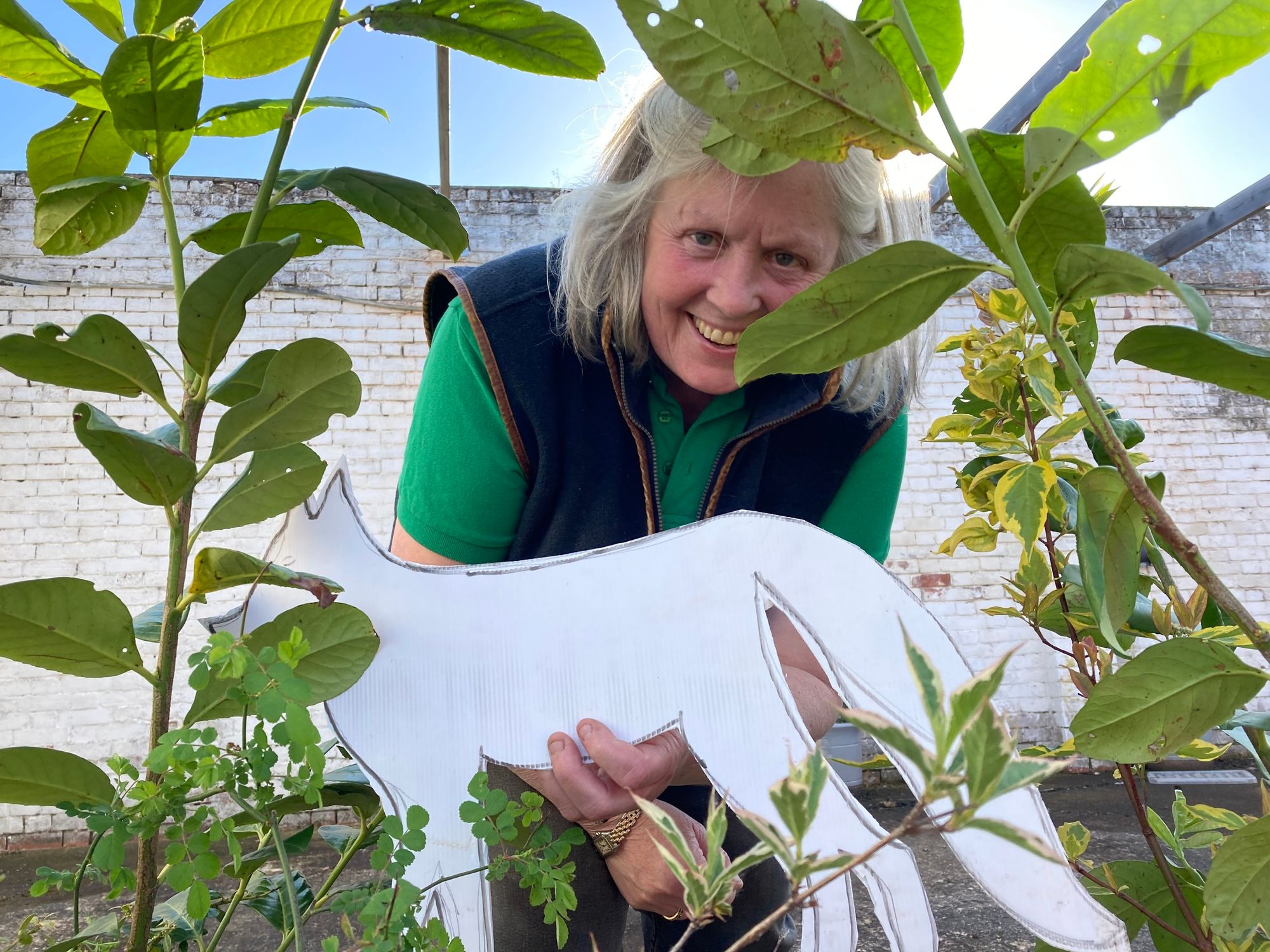 Deborah Custance Baker bringing on her saplings for the woodland garden at Devon County Show 2022 - Credit: Submitted