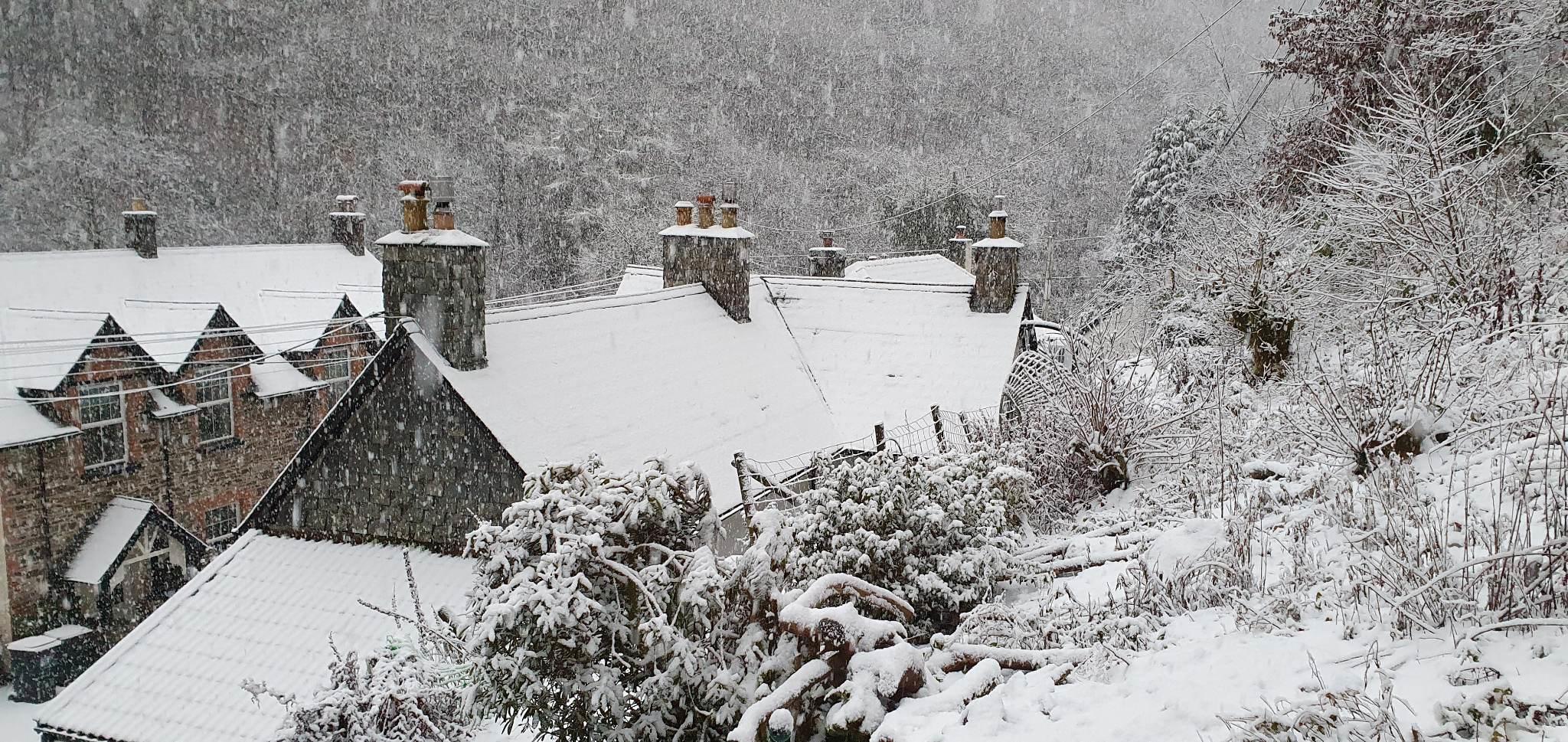 Heavy snow fell around Lynton. Credit: Susie Grout