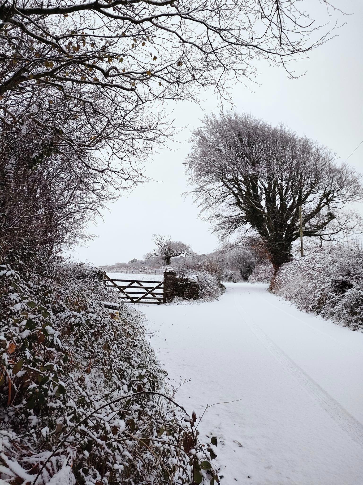 Snow at Arlington Beccott. Credit: Jackie Webster