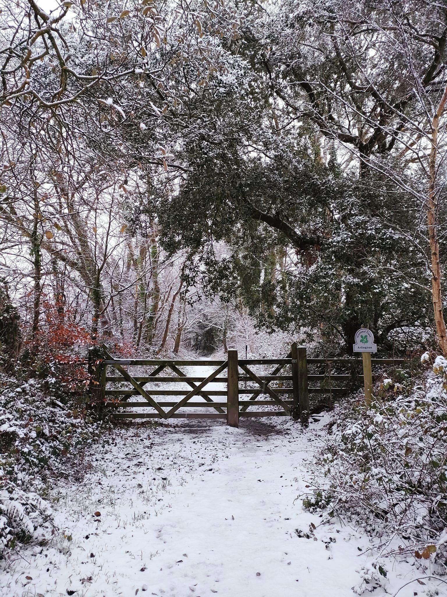 Snow at Arlington Beccott. Credit: Jackie Webster