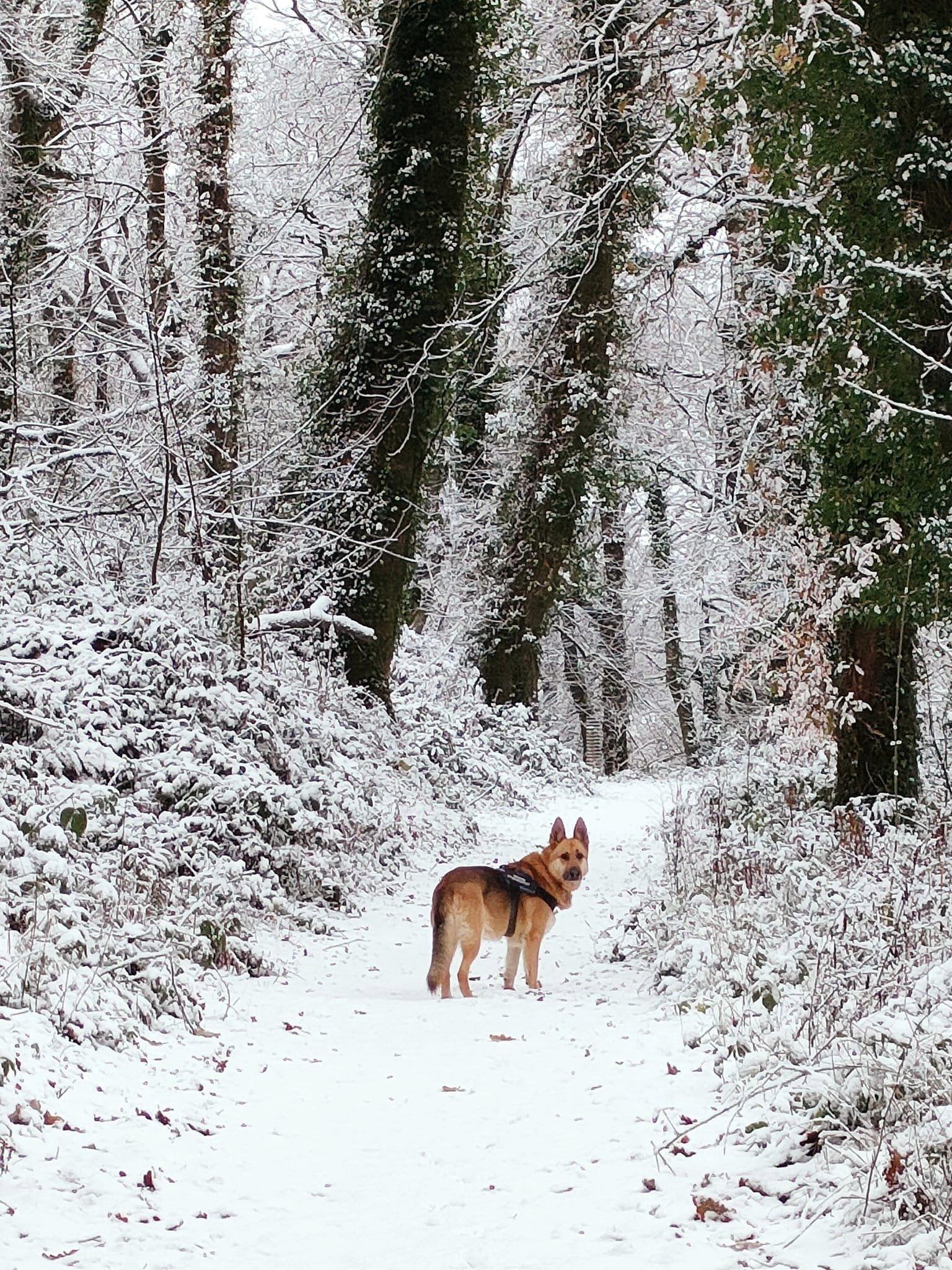 Snow at Arlington Beccott. Credit: Jackie Webster