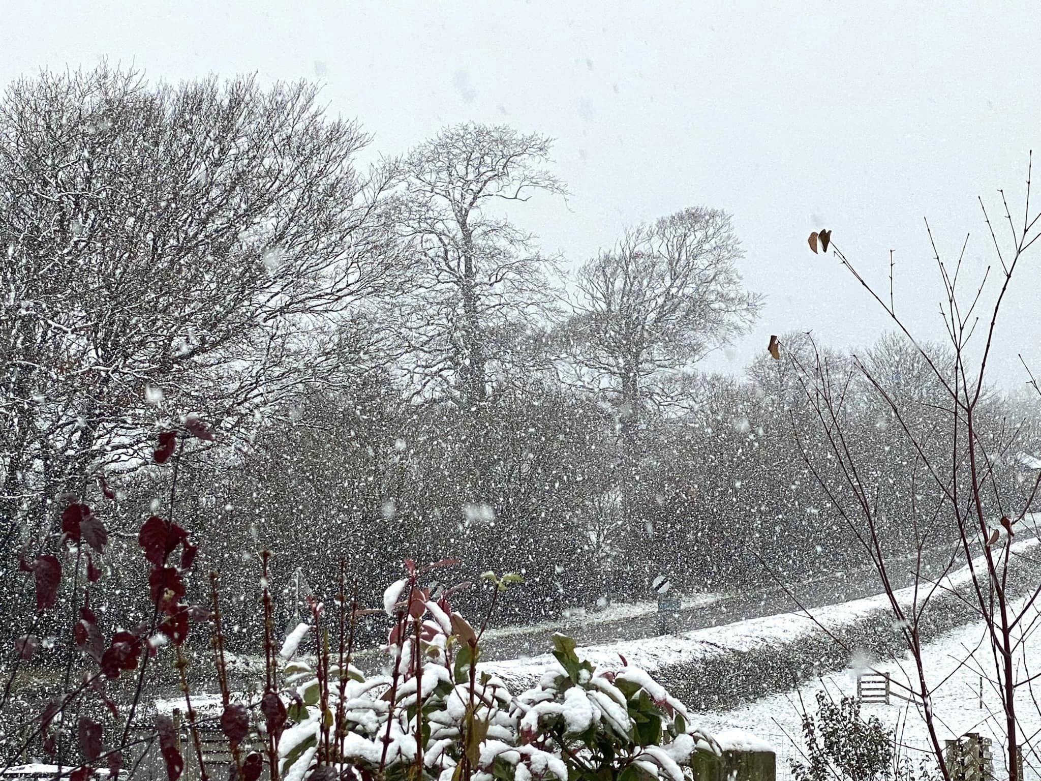 Shirwell saw plenty of snow. Credit: Margaret Gilbert