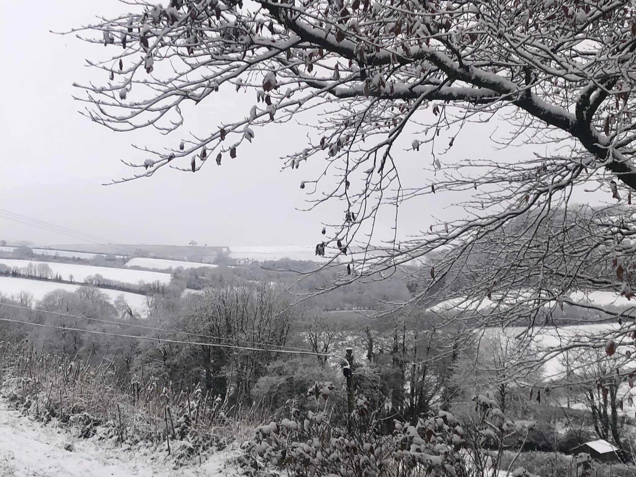 The South Molton area has also seen a good covering of the white stuff! Credit: Michelle Bourne