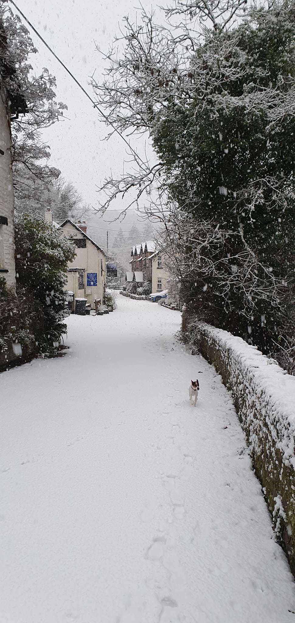 A chilly morning walk at Rockford, Lynton. Credit: Susie Grout
