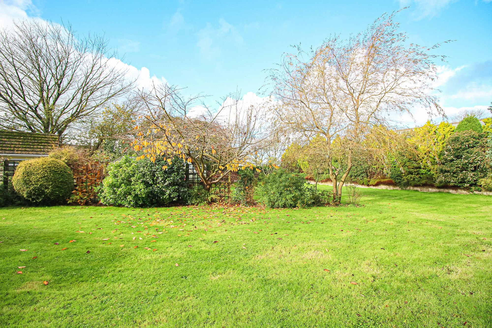 Property Space and privacy for bungalow in the centre of Woolsery