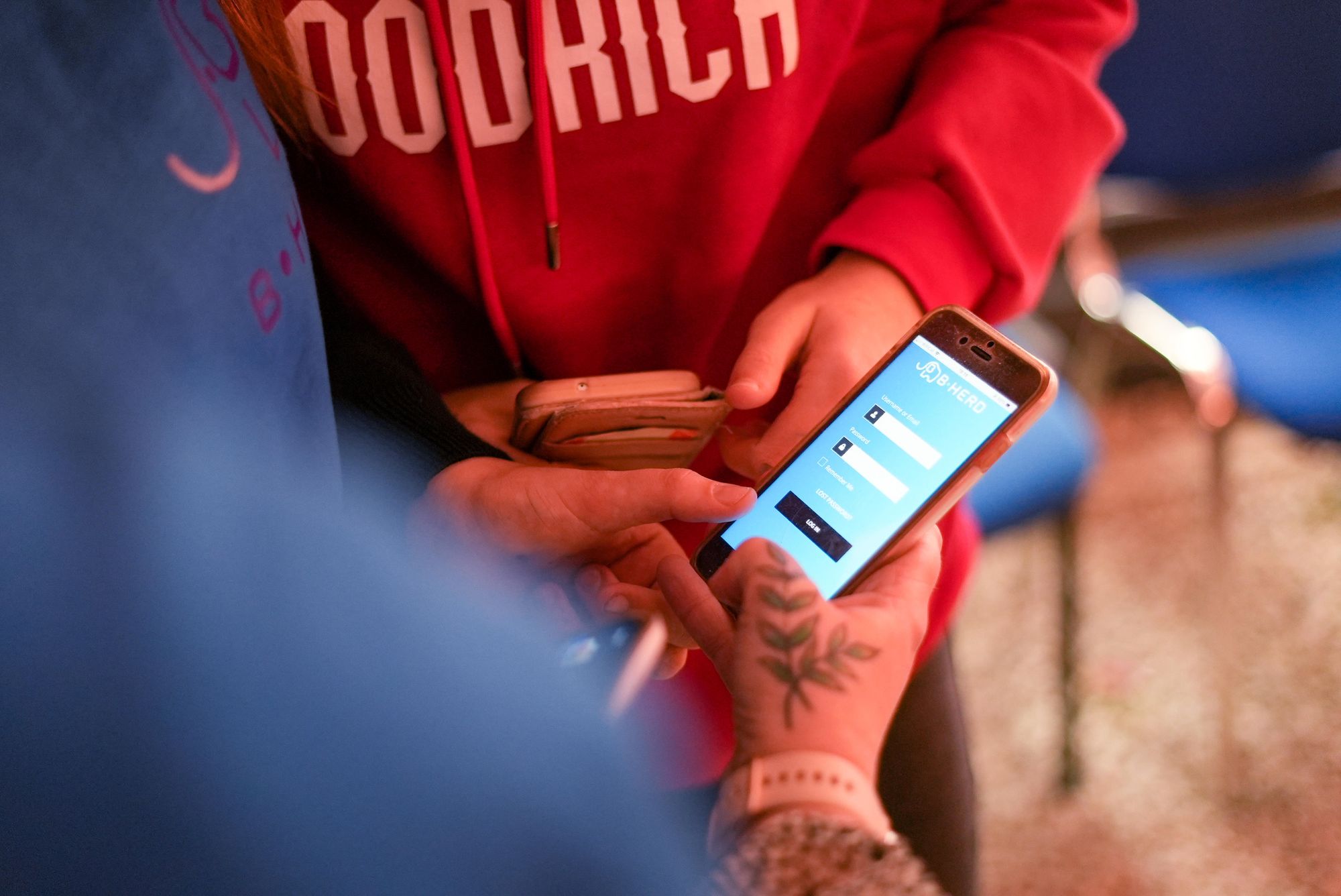 The B-Herd app up close - Credit: Blue Elephant