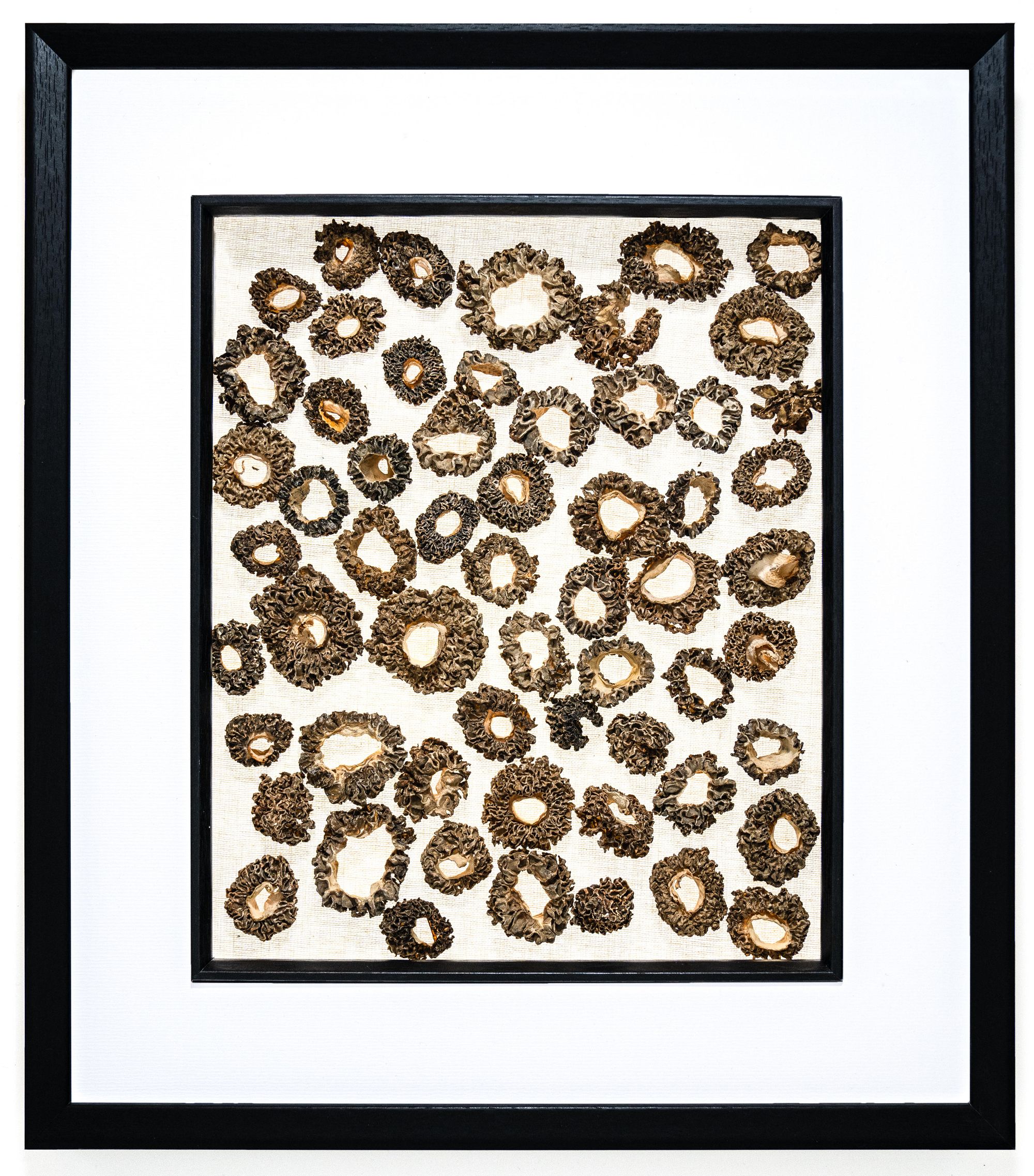 The beautifully framed dishes at Canvas