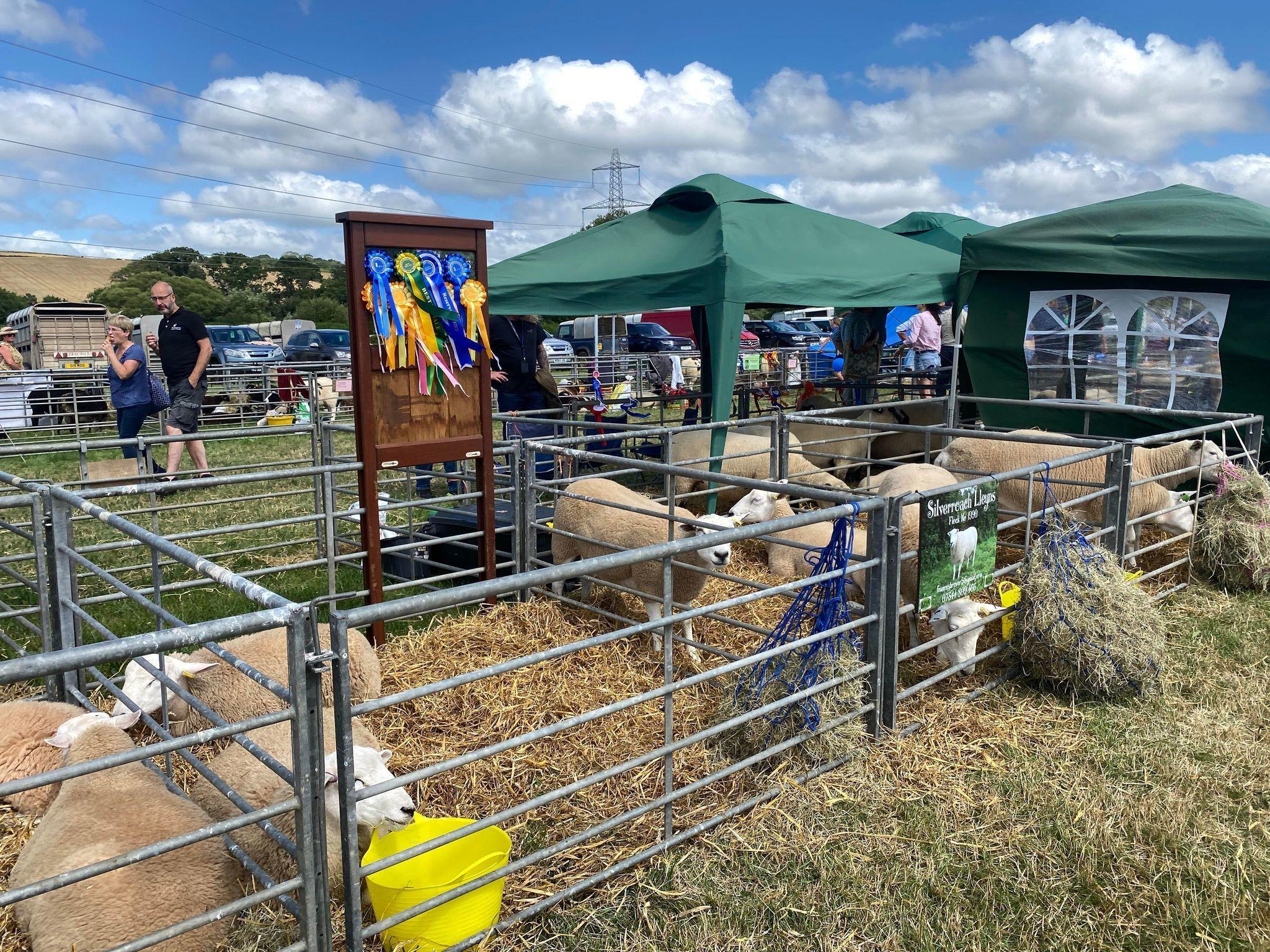 The North Devon Show